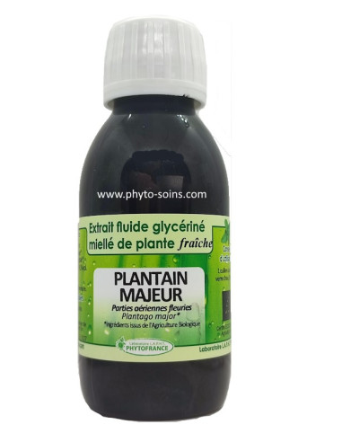 Extrait fluide glycériné miellé de Plantain majeur frais et BIO