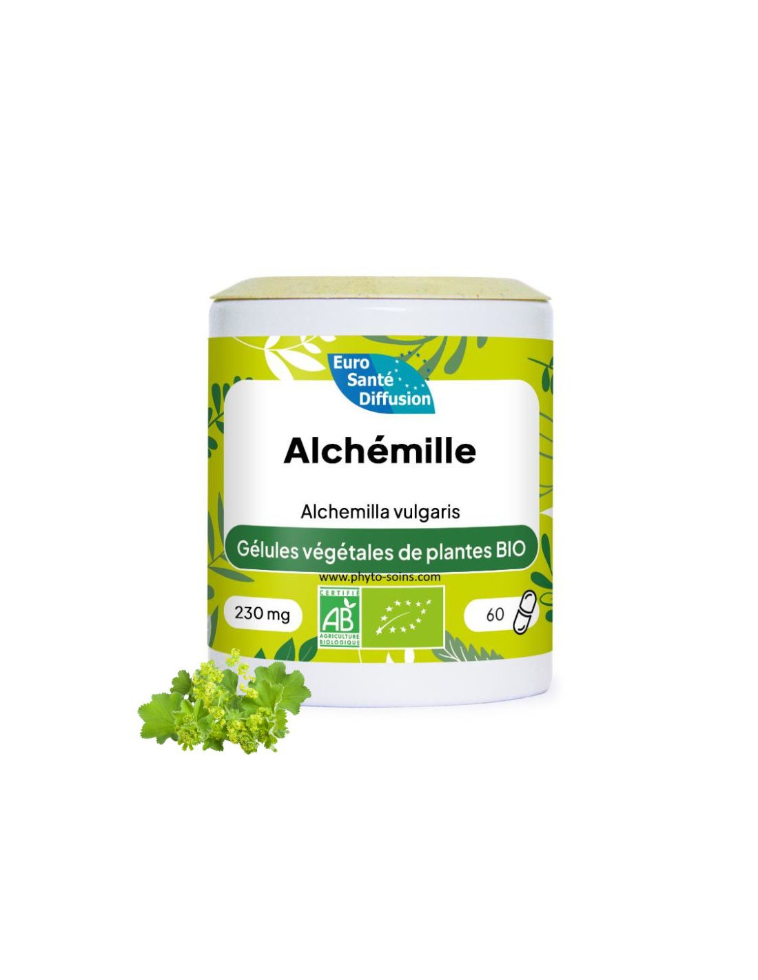 Boite de 60 ou 250 Gélules d'Alchémille BIO (Alchémilla vulgaris) 230mg