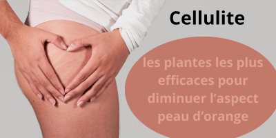 Cellulite: les plantes les plus efficaces pour diminuer l'aspect peau d'orange