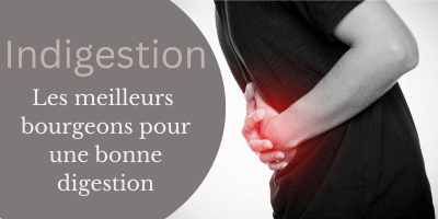 Indigestion: les meilleurs bourgeons pour une bonne digestion