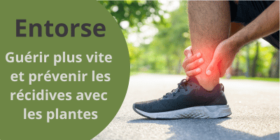 Entorse: guérir plus vite et prévenir les récidives avec les plantes