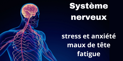 Système nerveux: quelles plantes pour le stress, la fatigue, les maux de tête...