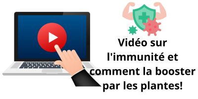 Vidéo sur l'immunité et comment la booster par les plantes!