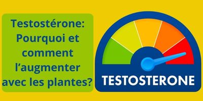 Testostérone : pourquoi et comment l'augmenter avec les plantes ?