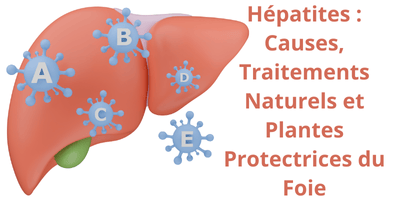 Les hépatites A,B et C: quelles plantes peuvent être employées?